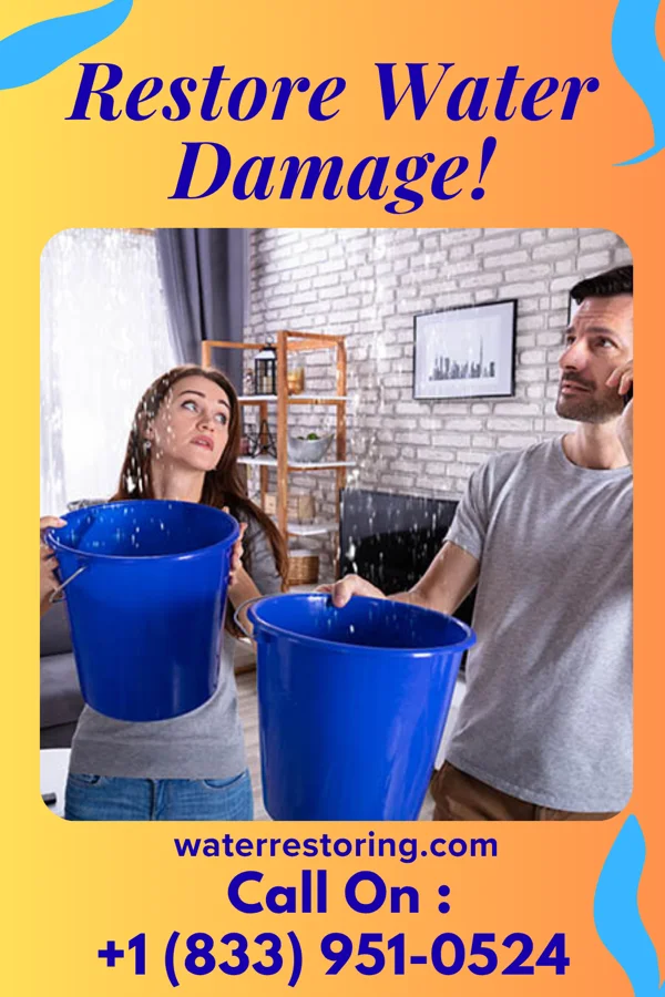 water restoration Lightning Damage Restoration Brothers Oak Leaf
