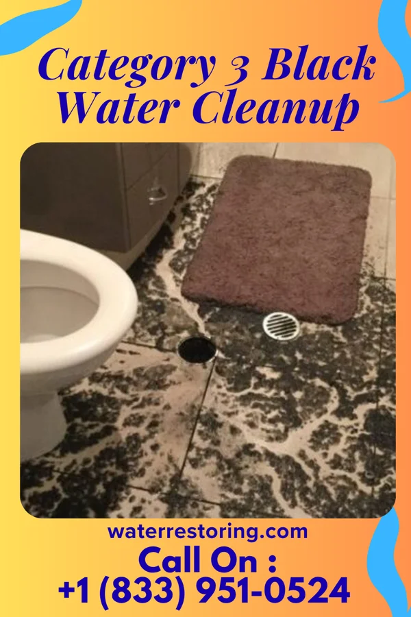 Category 3 Black Water Cleanup in Oak Leaf, TX